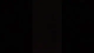 rame suara kodok