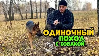 Single hike with a dog // COOKING