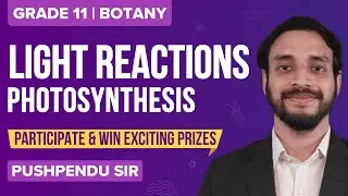Photosynthesis in Higher Plants Class 11 Biology Chapter 13 (Light Reactions)  - NEET 2022 Quiz: