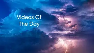 My Videos Of The Day