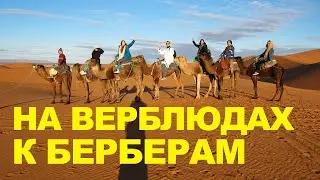 По Марокко на авто  4.  САХАРА ВЕРБЛЮДЫ БЕРБЕРЫ