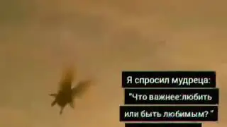 Цитата❤️ Описание😍