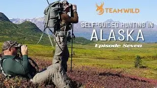 Self-guided Moose & Caribou Hunting in Alaska: Episode 7 – Hunting Giant Bull Moose