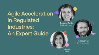 Agile Acceleration in Regulated Industries: An Expert Guide