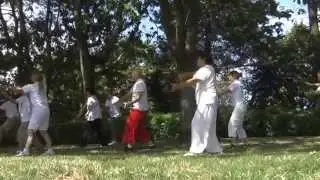 Ultimate Fu Style LiangYi Class Demonstration - Aug. 2015
