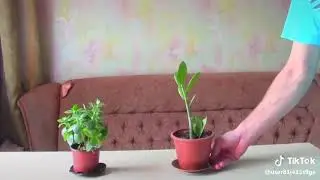 Лайфхак