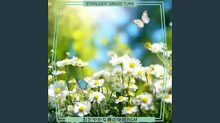 Whispering Grass Symphony