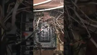 Funny Electrical Short with "My Nephew Thomas" audio #electrician #electrical #humor
