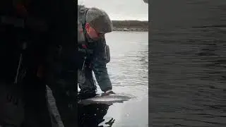 🎣Ловля сёмги на Кольском. Первый рыболовный день #кольский #нахлыст ##рыбалканахлыстом #flyfishing