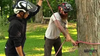 Steel 8 for rigging scenarios