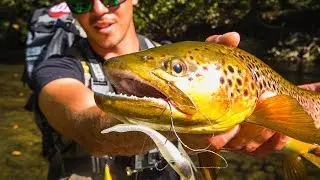 INCREDIBLE VINYL SPINNING TROUT FISHING [Lured Trip] | Lured Vlog 108