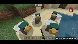 Showcase Rjmobs Addon