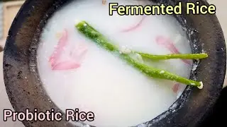 Probiotic Rice/ Fermented Rice/ Chaddi annam/ Immunity Booster Rice/ Easy Cooking Recipes