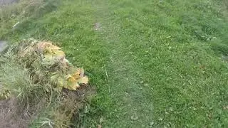 Небольшая рыбалка.