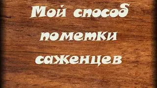 Мой способ пометки семян,саженцев