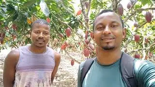 Visita Técnica+220@/ha+Cacau Fino+outros temas