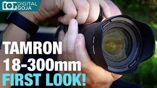 Tamron 18-300mm Field Review in Miami | Tamron 18-300mm f/3.5-6.3 di iii-A vc vxd lens