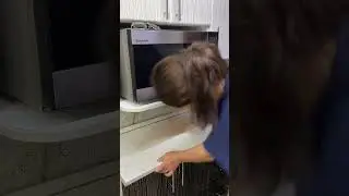 17 июня 2024 г.