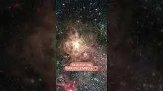 Tarantula nebula 🕷 