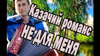 Алексей Симонов. гармонь -
