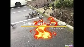 This is my intro by gamer William 963 and by fishygamingYT
