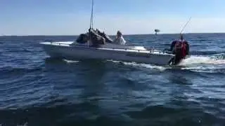 Mopa Expedition, Sensommertræf 2015