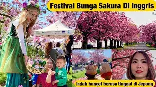 Festival Bunga Sakura di Inggris #mervillegardenvillage