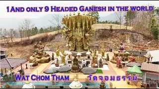 The World's Only 9-headed Ganesh You'll Ever See!