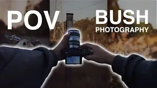 Peaceful 15 Minutes of POV Suburban Bush Photography