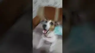 Ей сегодня 2 года