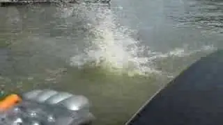spence jumping off dock