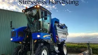 Stressless harvesting - Grape harvest 2017