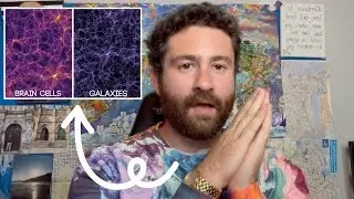 Is the universe just one giant BRAIN?