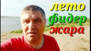 Лето, жара, фидер