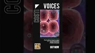 Voices Mayen Remix debutes at #59 on beatport