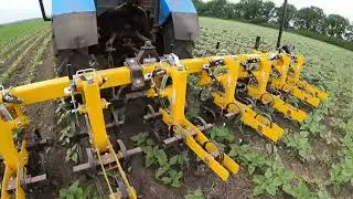 Випробовуєм Культиватор КРН 5.6 м. міжрядний від GENERAL