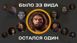 Вся эволюция человека за 20 минут