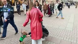 МАРК БУЛАХ НАВЕЛ СУЕТЫ НА СТРИМЕ ПИНКА