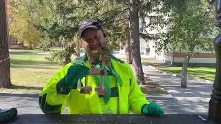 Делаем интерьерную экоигрушку из остатков лесозаготовок
