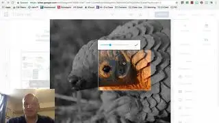 How to embed a picture in a Google Sites website