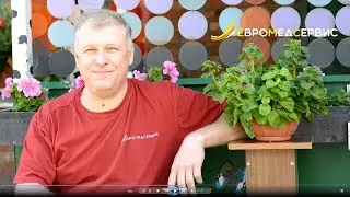 Компании «Евромедсервис» — 9 лет!