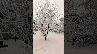 Заметает, зима, заметает 