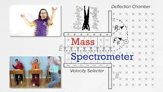 Mass Spectrometer