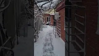 Выпал снег. Кубань. Ейск.
