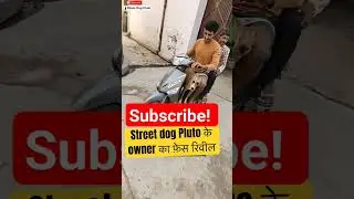 Street dog pluto face reveal 😱😱😱Biggest update