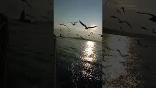 23 Şubat 2024