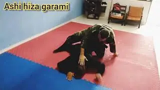 Ashi hiza garami