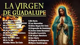 Cantos Para La Virgen  De Guadalupe❤️Canciones A La Virgen De Guadalupe🎶 La Virgen Guadalupe