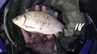 Fishing day