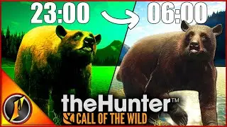Do THIS After The Update to Get Your Bears in the NEW Daytime Drink Zones!